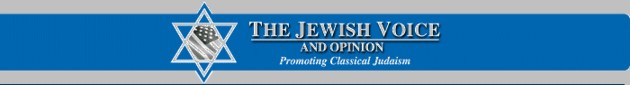 Jewish Voice and Opinion