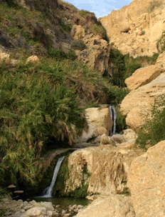 En Gedi Nature Reserve and National Park